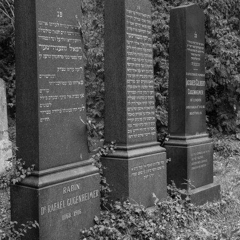 New Jewish cemetery